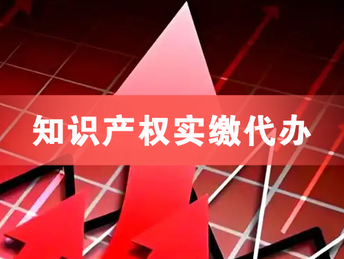 襄阳知识产权实缴资本代办